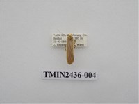 藏品(黃緣苔蛾)的圖片